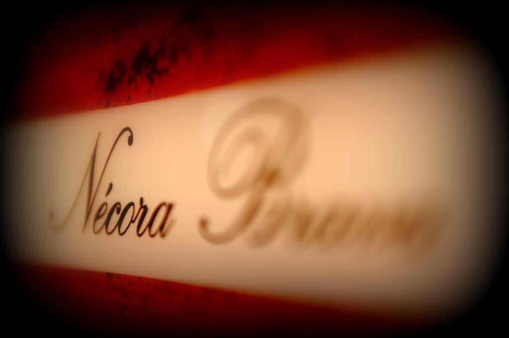 Apartaments La Reserva Premium Noja Zimmer foto